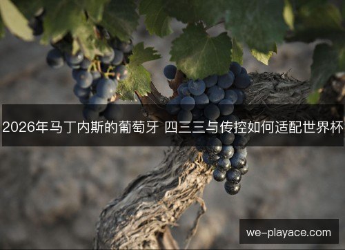 2026年马丁内斯的葡萄牙 四三三与传控如何适配世界杯 2026年马丁内斯的葡萄牙 四三三与传控如何适配世界杯